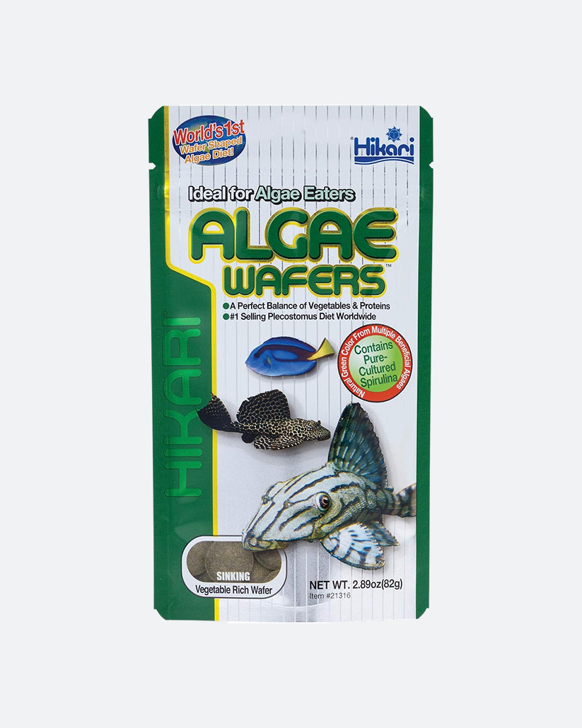 Hikari Algae Wafers