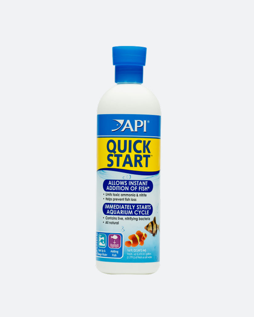 API Quickstart