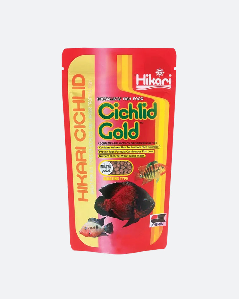 Hikari Cichlid Gold Mini