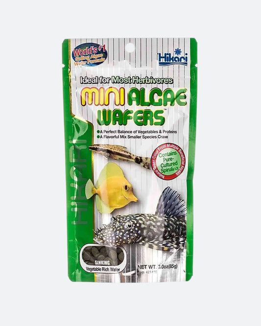 Hikari Algae Wafers Mini