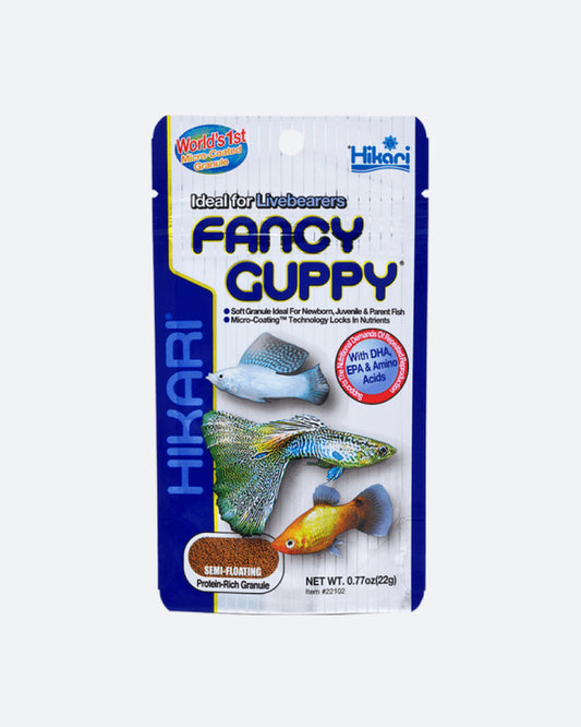 Hikari Fancy Guppy